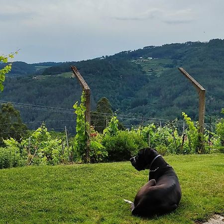 Casa Da Vina - Ribeira Sacra Villa Nogueira De Ramuin Exteriör bild