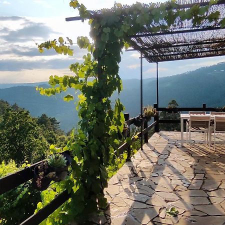 Casa Da Vina - Ribeira Sacra Villa Nogueira De Ramuin Exteriör bild