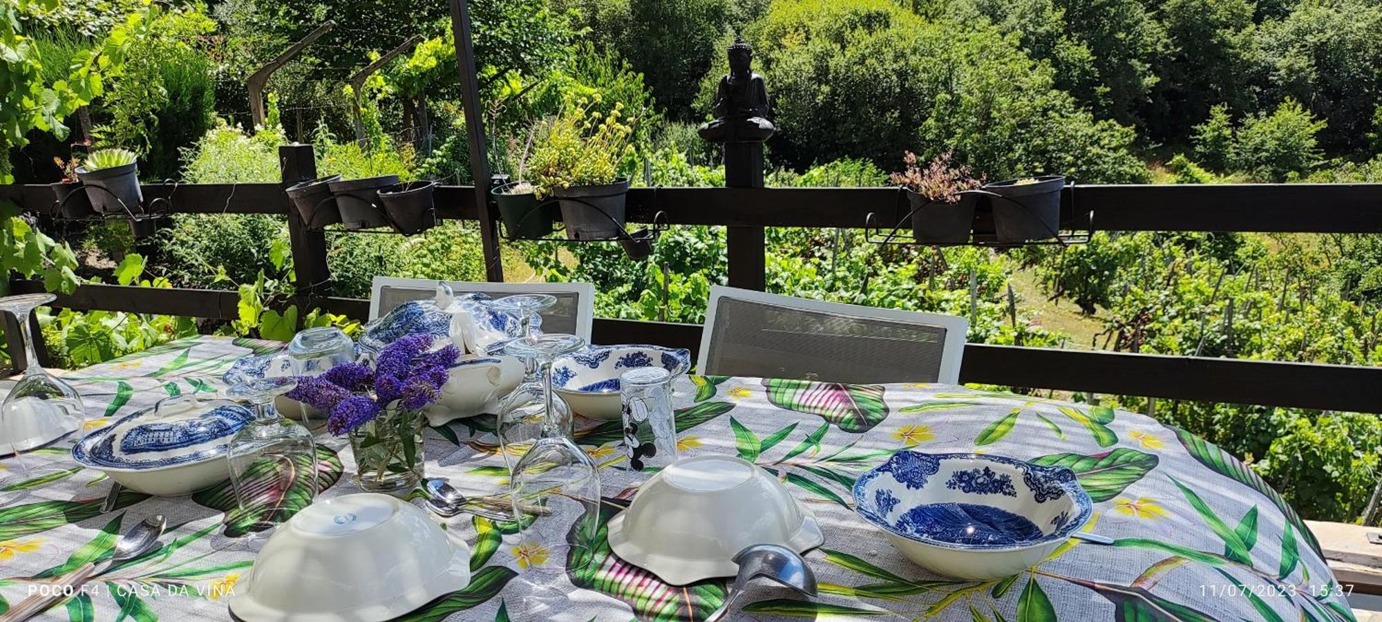 Casa Da Vina - Ribeira Sacra Villa Nogueira De Ramuin Exteriör bild