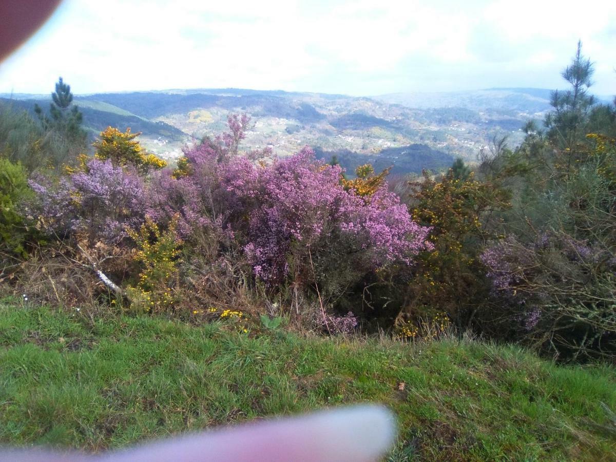 Casa Da Vina - Ribeira Sacra Villa Nogueira De Ramuin Exteriör bild