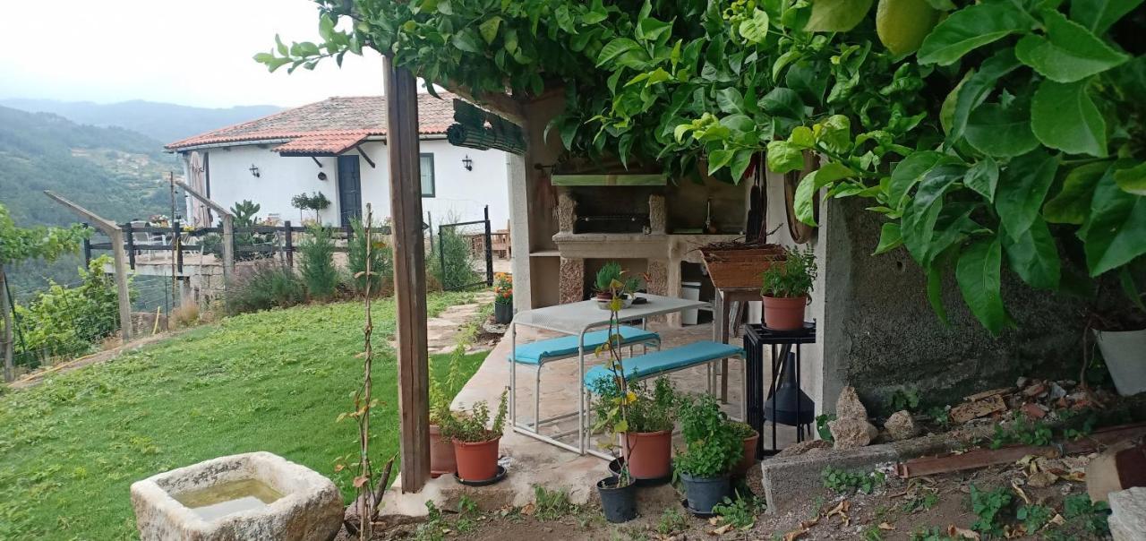 Casa Da Vina - Ribeira Sacra Villa Nogueira De Ramuin Exteriör bild