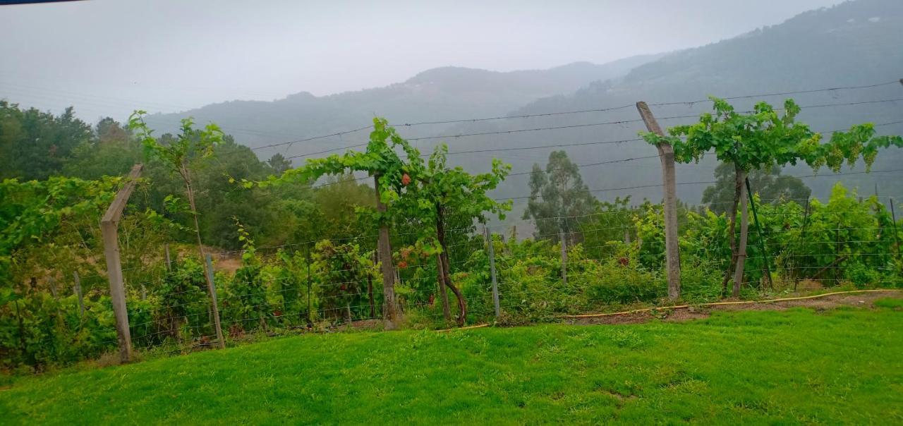 Casa Da Vina - Ribeira Sacra Villa Nogueira De Ramuin Exteriör bild