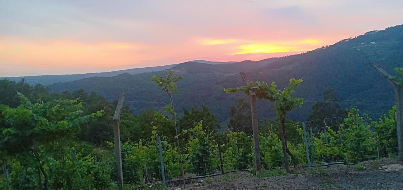 Casa Da Vina - Ribeira Sacra Villa Nogueira De Ramuin Exteriör bild