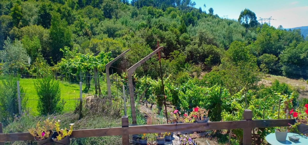Casa Da Vina - Ribeira Sacra Villa Nogueira De Ramuin Exteriör bild
